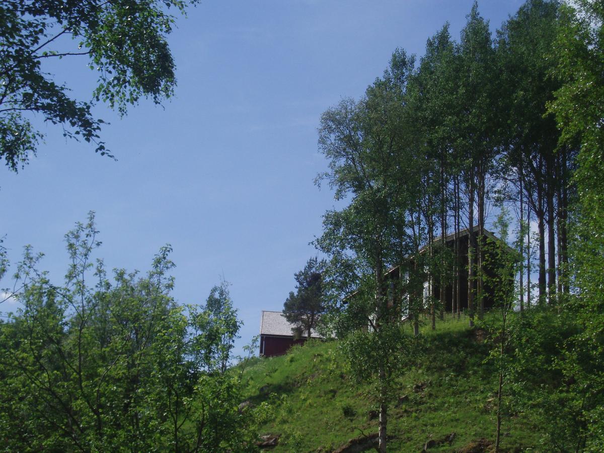Ivaregga Vinterstua Tolga Exterior foto